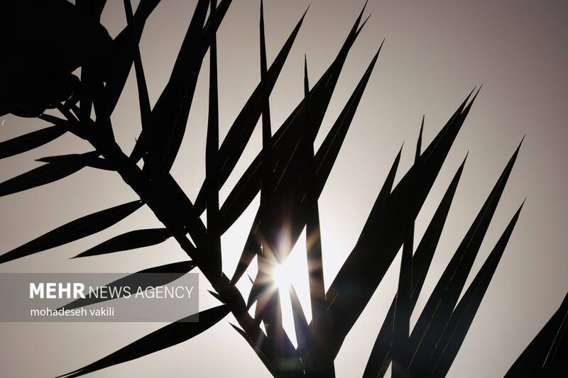 مهران با ۵۱.۸ درجه گرم‌ترین نقطه کشور شد