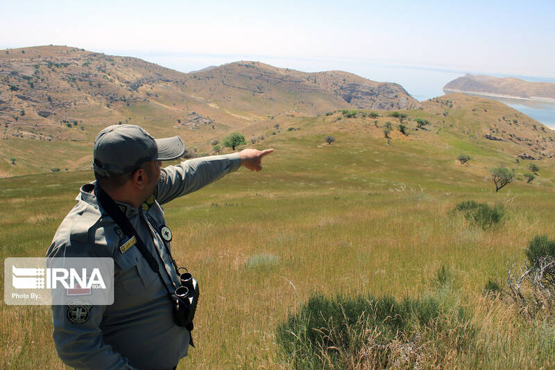 شهادت محیط‌بان پارک ملی گلستان در درگیری با شکارچیان غیرمجاز