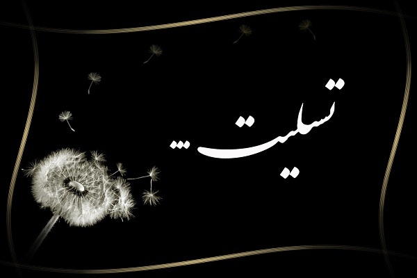 مادر شهید «دست داده» آسمانی شد