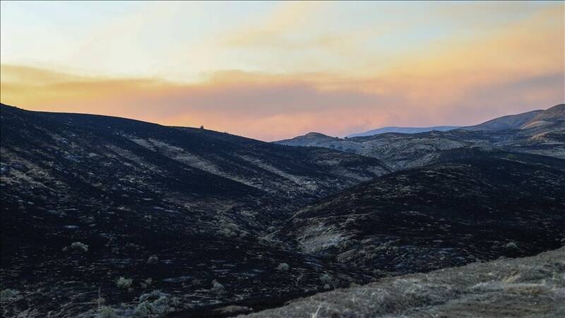 وقوع آتش‌سوزی جنگل‌ها در آمریکا