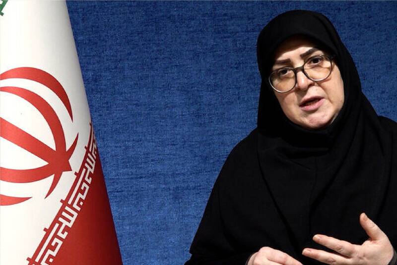 فیلم/ واکنش سخنگوی دولت به فعال سازی مکانیسم ماشه