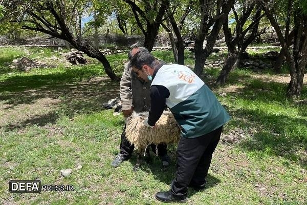 اردوی جهادی دامپزشکی کانون‌های خدمت رضوی رفسنجان/ دیدار با جانبازان و غبارروبی مزار شهدا در حاشیه اردو