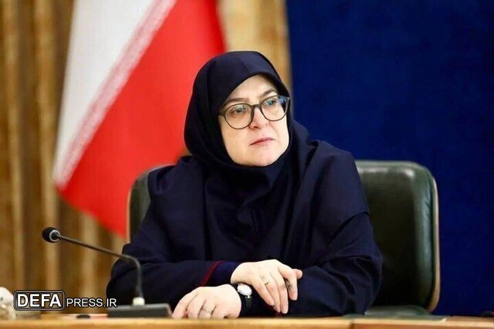 مهاجرانی: اولویت اصلی دولت تداوم فعالیت کسب و کارهاست