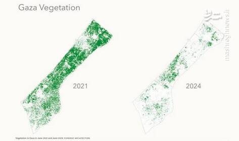 اسرائیل وجود هرگونه نشانه حیات در غزه را نیز تحمل نمی کند