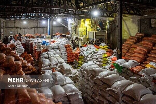 بزرگترین محموله احتکاری کشور کشف شد