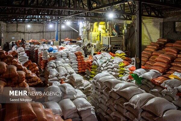 بزرگترین محموله احتکاری کشور کشف شد