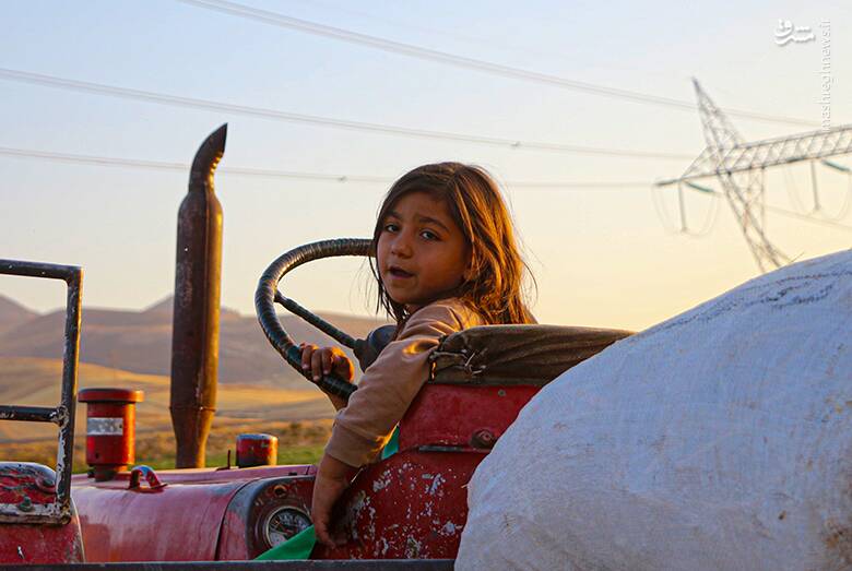 عکس/ زندگی عشایر کرمانشاه