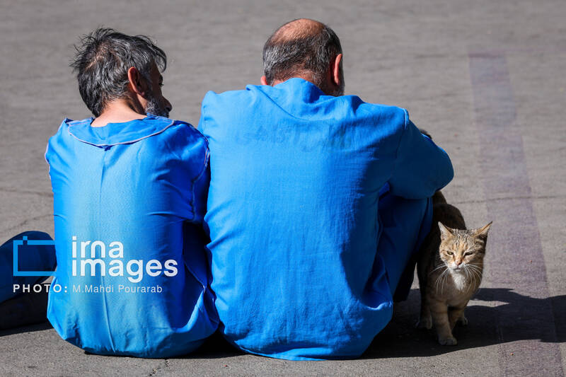 فرد مدعی نفوذ در دستگاه قضایی مازندران بازداشت شد