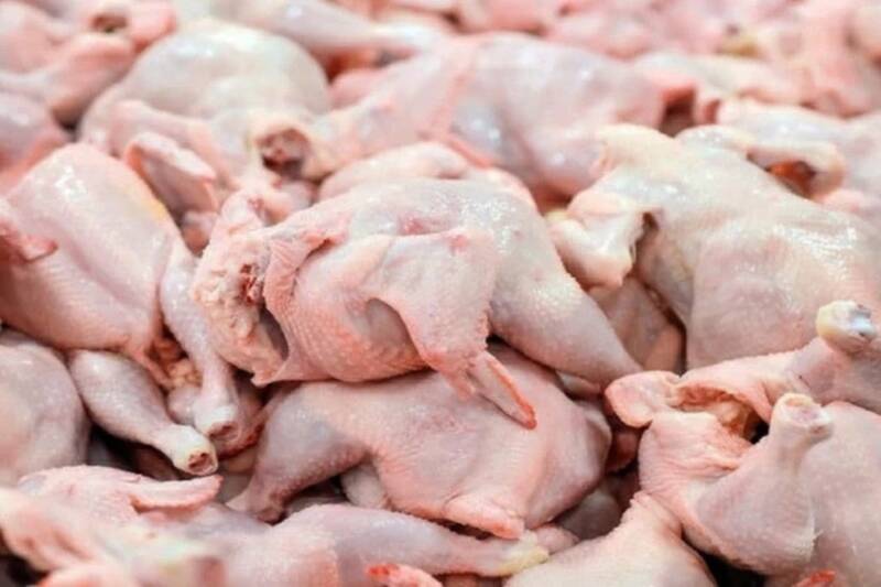 فیلم/ چرا قیمت مرغ افزایش یافت؟